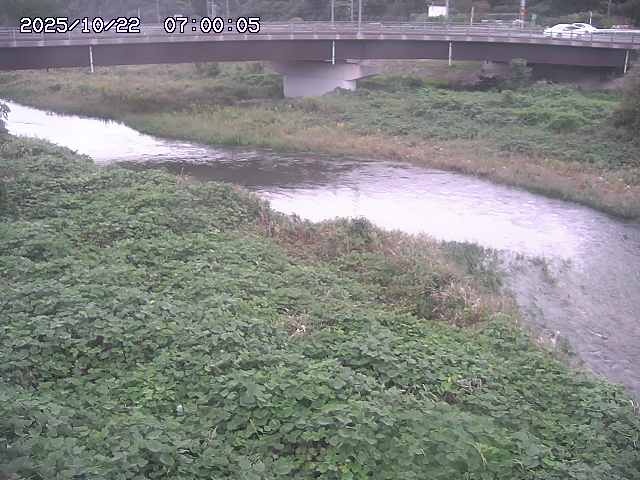 野坂川３2025/10/22 11:10