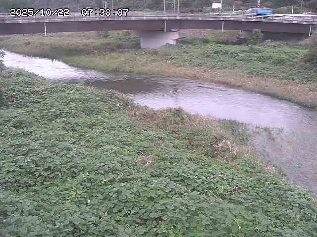 野坂川３2025/10/22 11:10