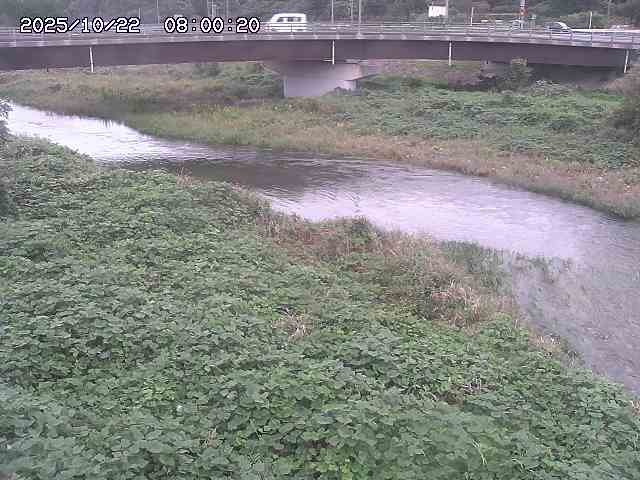 野坂川３2025/10/22 11:10