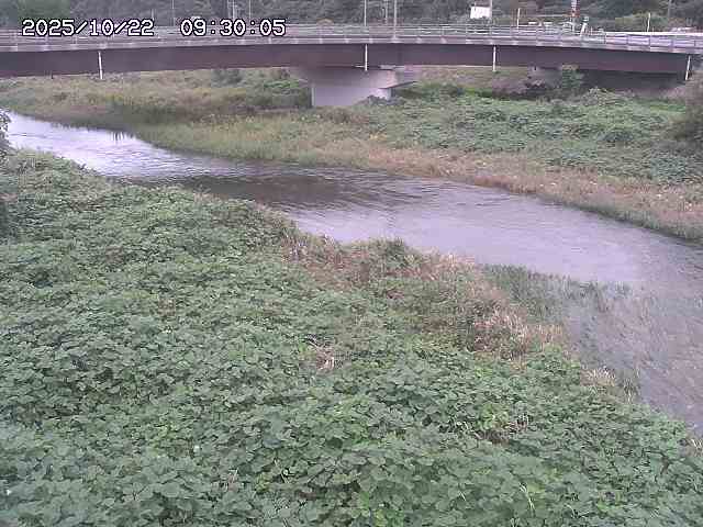 野坂川３2025/10/22 11:10