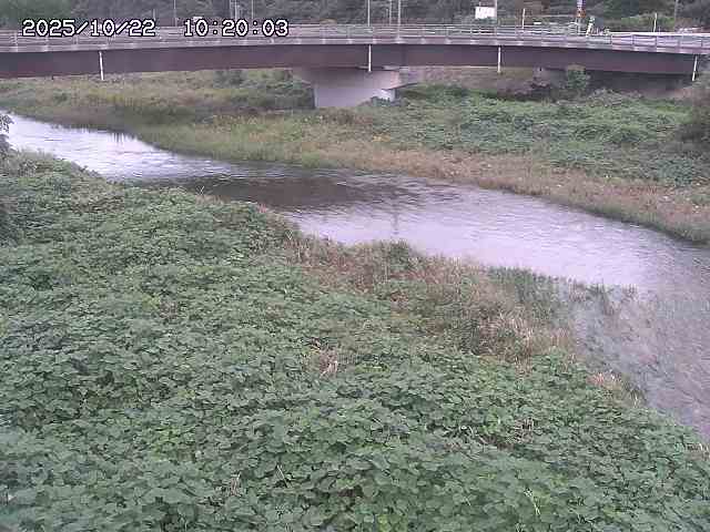 野坂川３2025/10/22 11:10