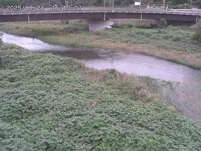 野坂川３2025/10/22 11:10