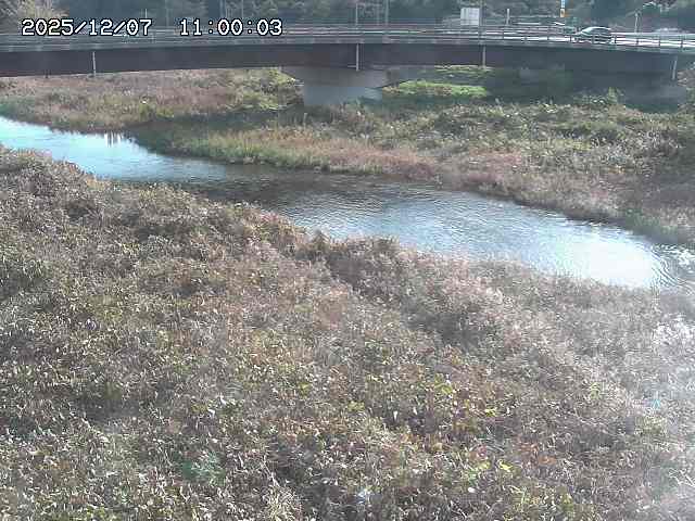 野坂川３2025/12/08 11:20