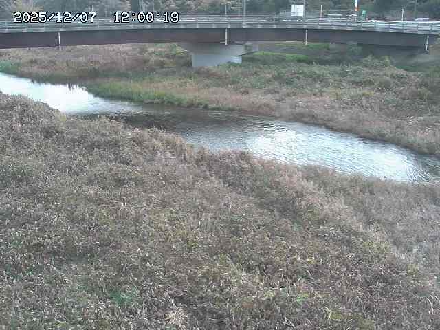 野坂川３2025/12/08 11:20