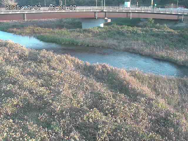 野坂川３2025/12/08 11:20