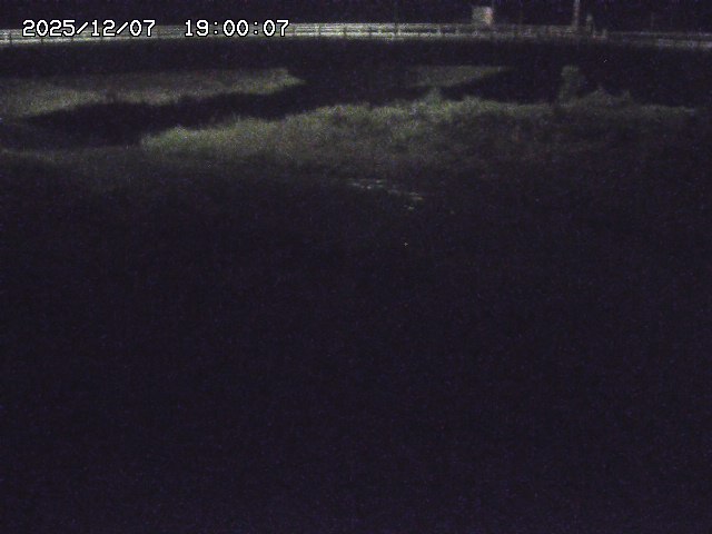 野坂川３2025/12/08 11:20