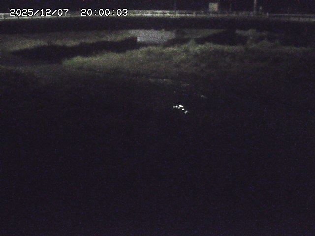 野坂川３2025/12/08 11:20