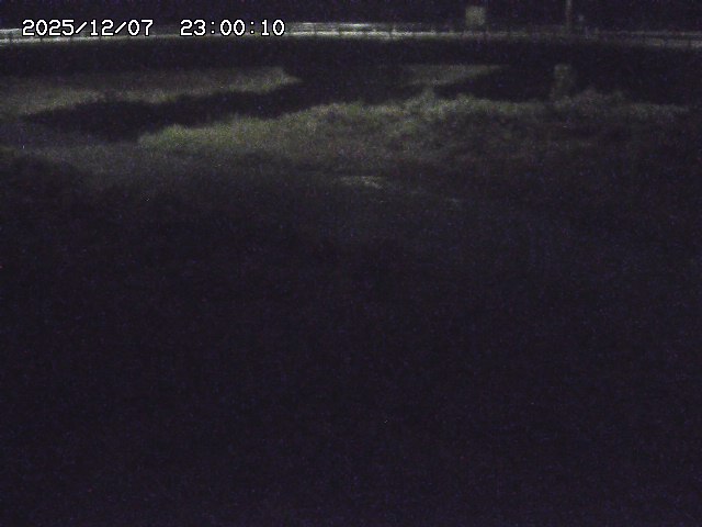 野坂川３2025/12/08 11:20