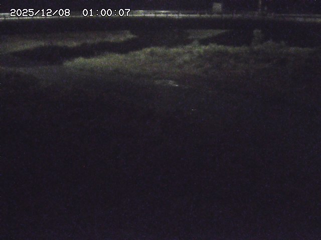 野坂川３2025/12/08 11:20