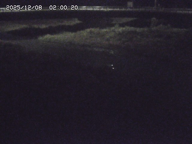 野坂川３2025/12/08 11:20