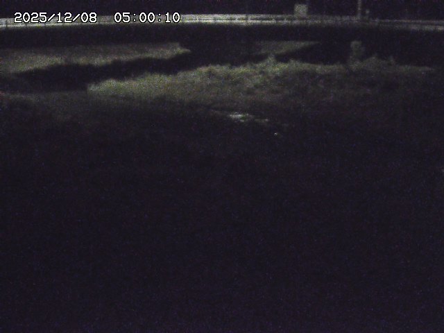 野坂川３2025/12/08 11:20