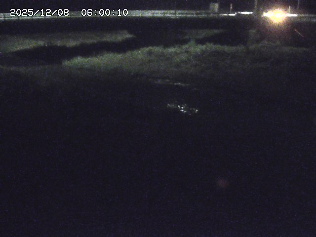 野坂川３2025/12/08 11:20