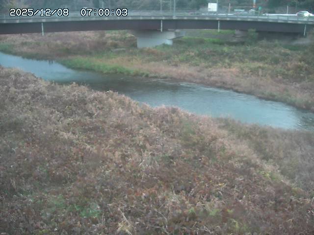 野坂川３2025/12/08 11:20