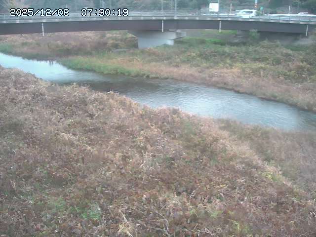 野坂川３2025/12/08 11:20