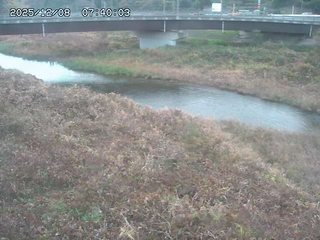 野坂川３2025/12/08 11:20