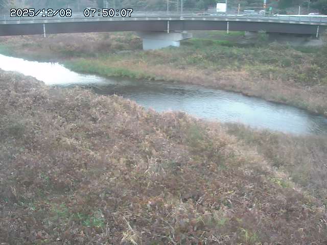 野坂川３2025/12/08 11:20