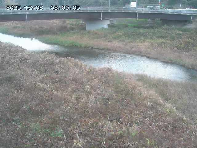 野坂川３2025/12/08 11:20