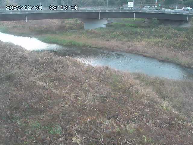 野坂川３2025/12/08 11:20