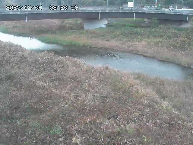 野坂川３2025/12/08 11:20