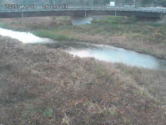 野坂川３2025/12/08 11:20