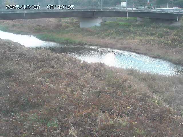 野坂川３2025/12/08 11:20