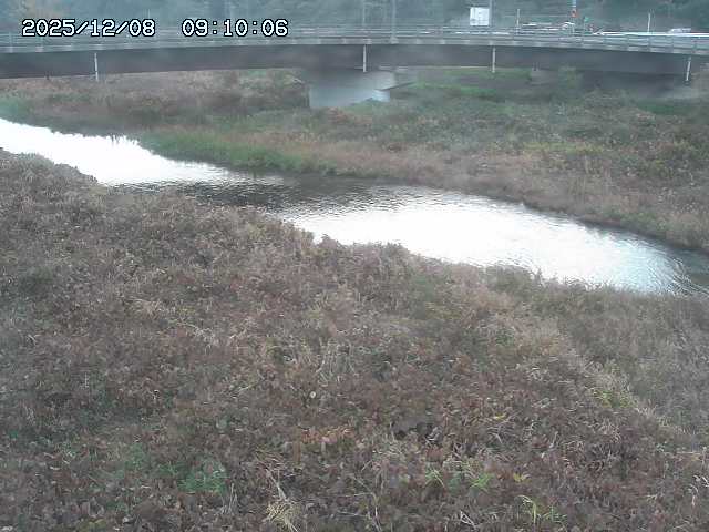 野坂川３2025/12/08 11:20