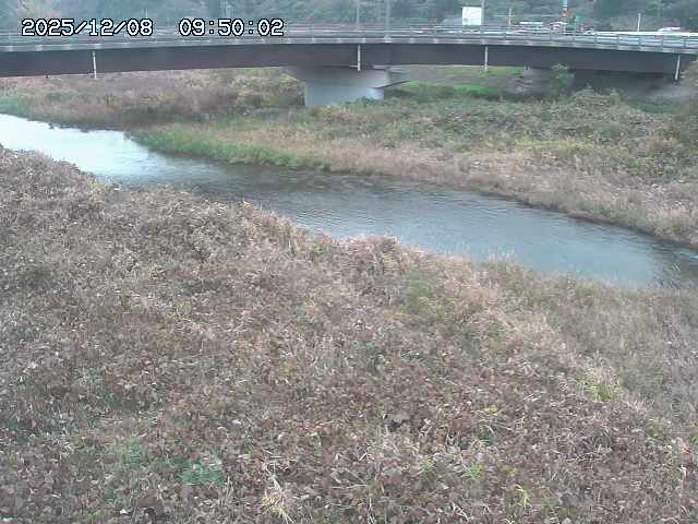 野坂川３2025/12/08 11:20