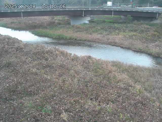 野坂川３2025/12/08 11:20