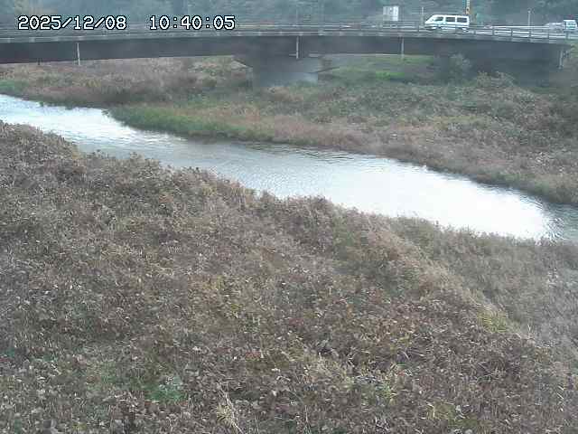 野坂川３2025/12/08 11:20