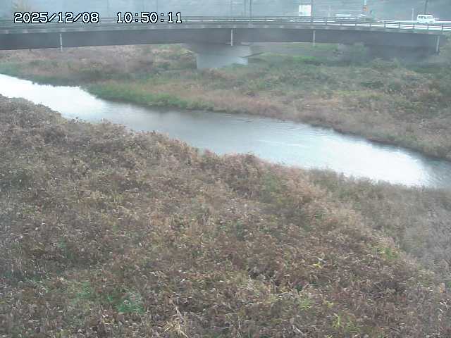 野坂川３2025/12/08 11:20