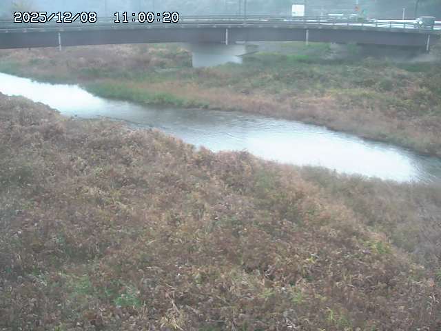 野坂川３2025/12/08 11:20