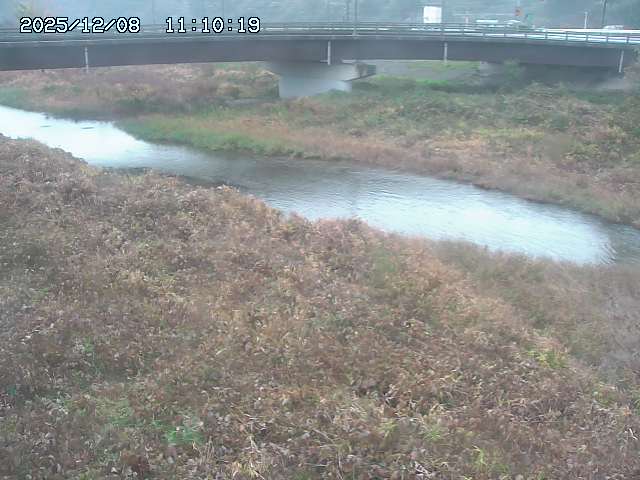 野坂川３2025/12/08 11:20