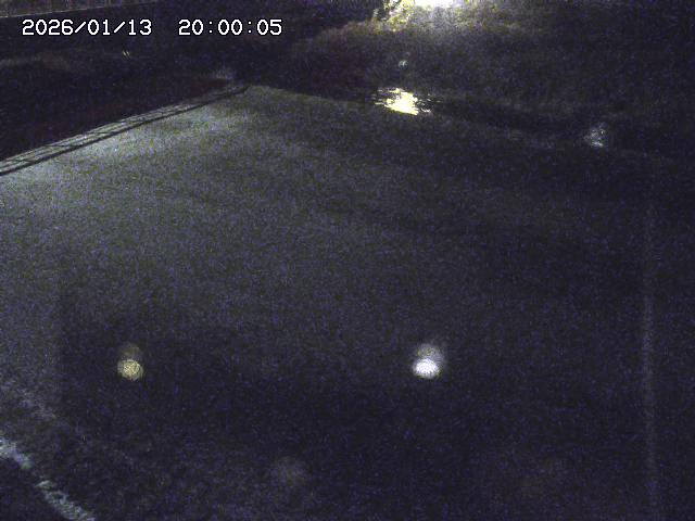河内川３2026/01/14 19:10