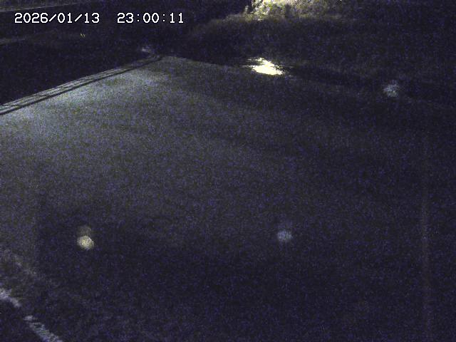河内川３2026/01/14 19:10