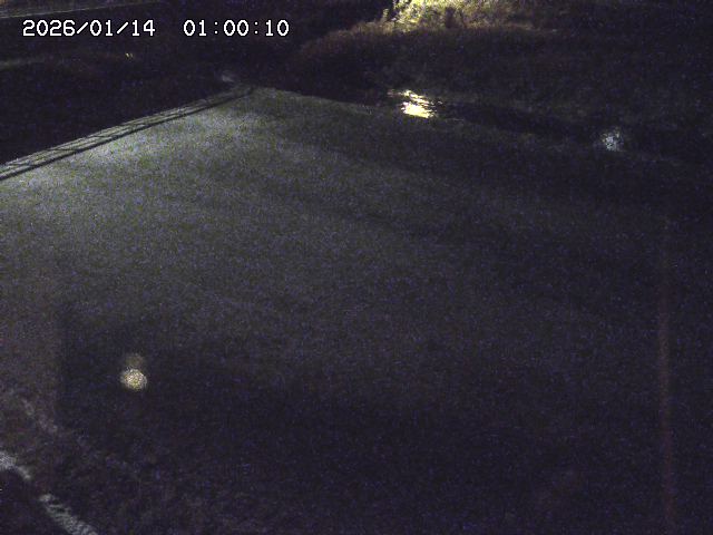 河内川３2026/01/14 19:10