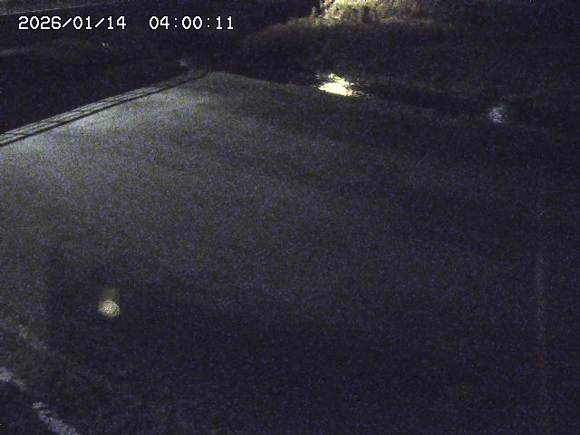 河内川３2026/01/14 19:10