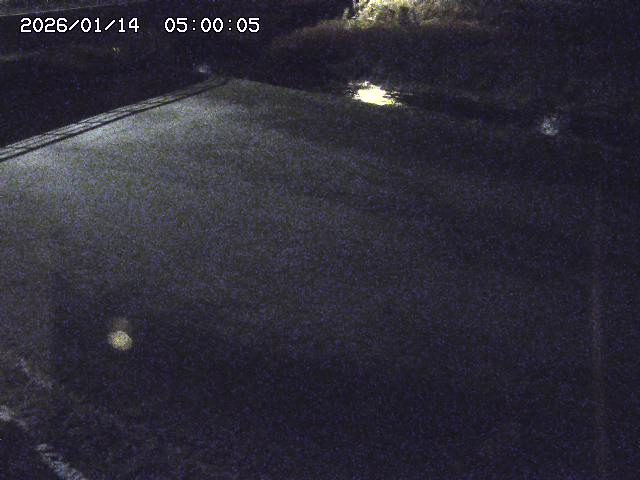 河内川３2026/01/14 19:10