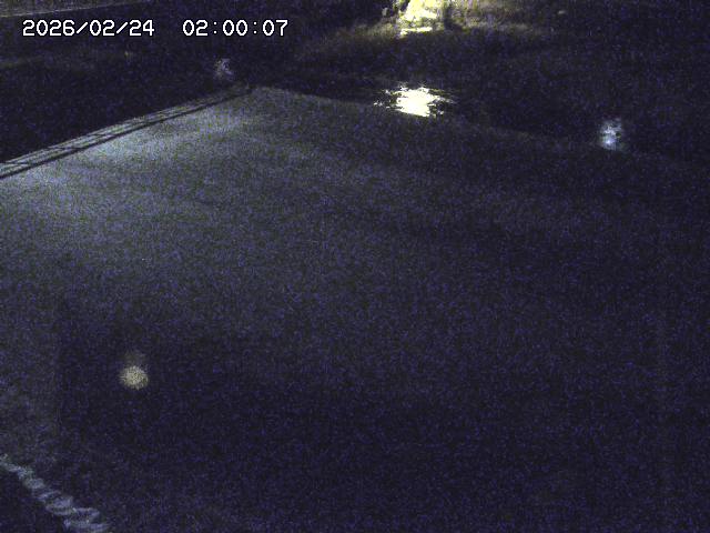 河内川３2026/02/25 02:30