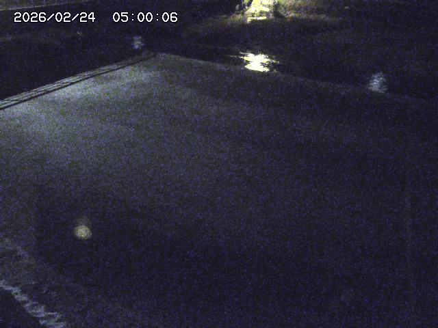 河内川３2026/02/25 02:30