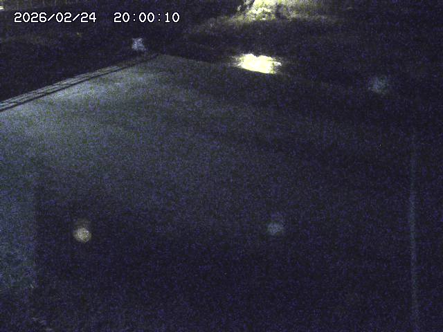 河内川３2026/02/25 02:30