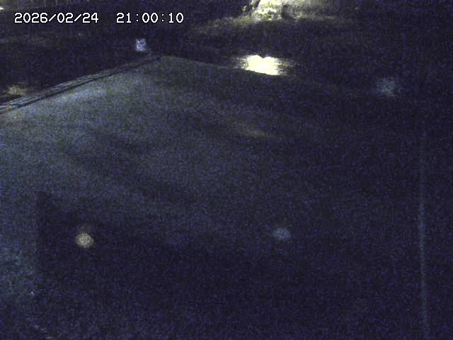 河内川３2026/02/25 02:30