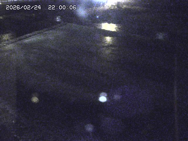 河内川３2026/02/25 02:30