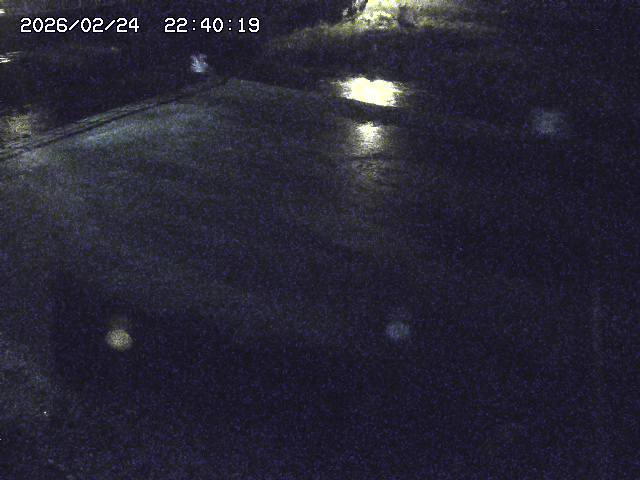 河内川３2026/02/25 02:30