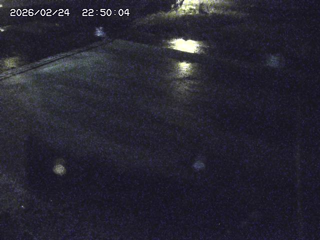 河内川３2026/02/25 02:30