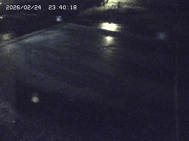 河内川３2026/02/25 02:30