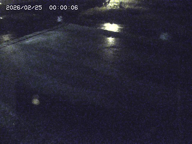 河内川３2026/02/25 02:30