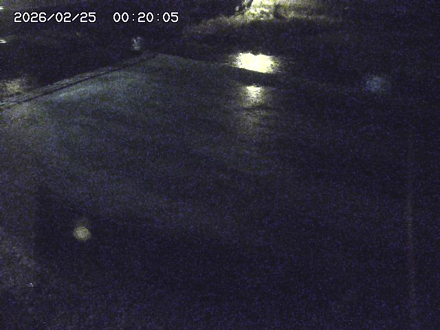 河内川３2026/02/25 02:30