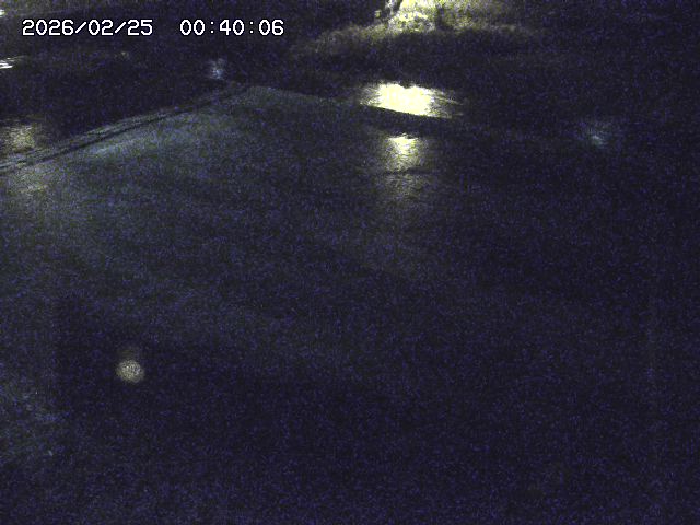 河内川３2026/02/25 02:30