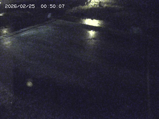 河内川３2026/02/25 02:30