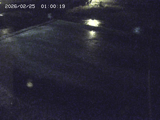 河内川３2026/02/25 02:30